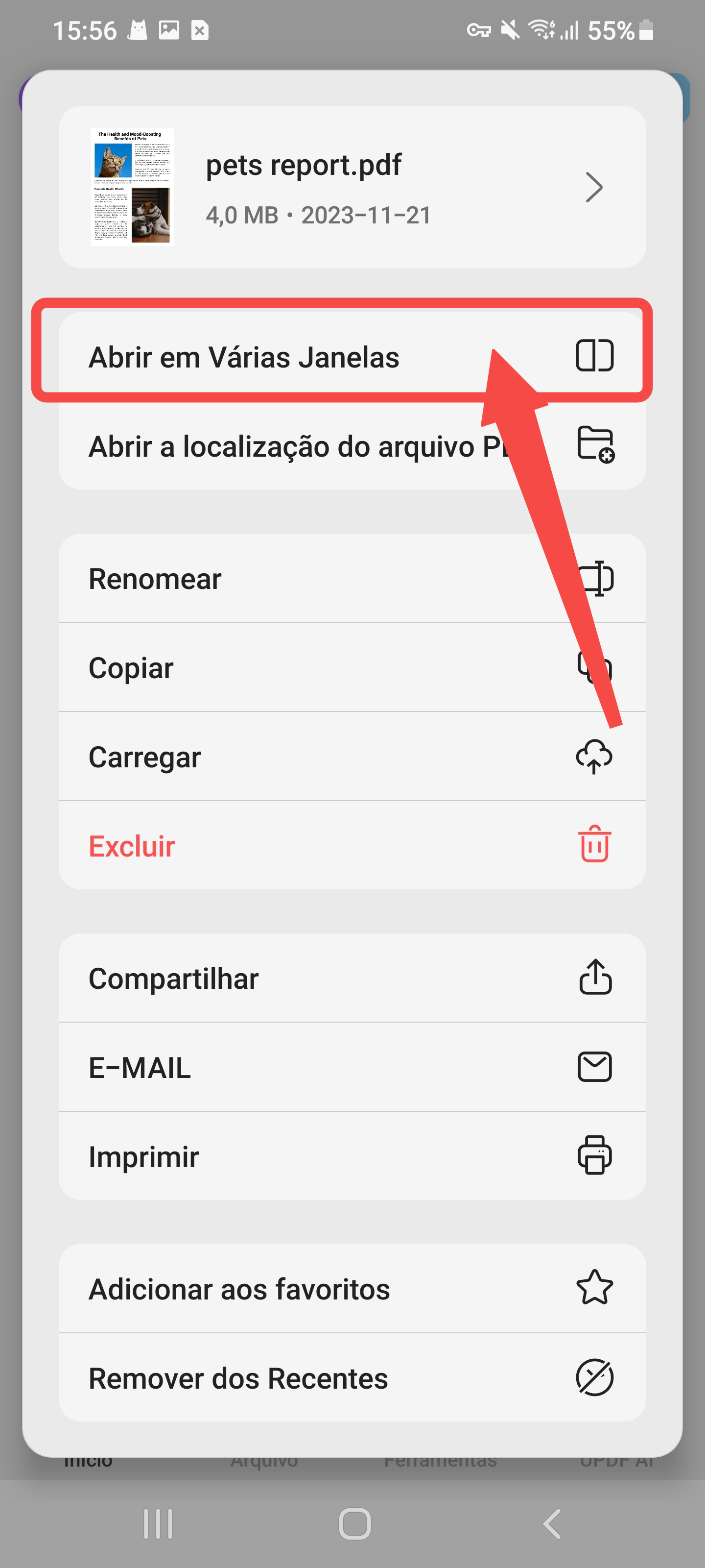 abrir em nova janela