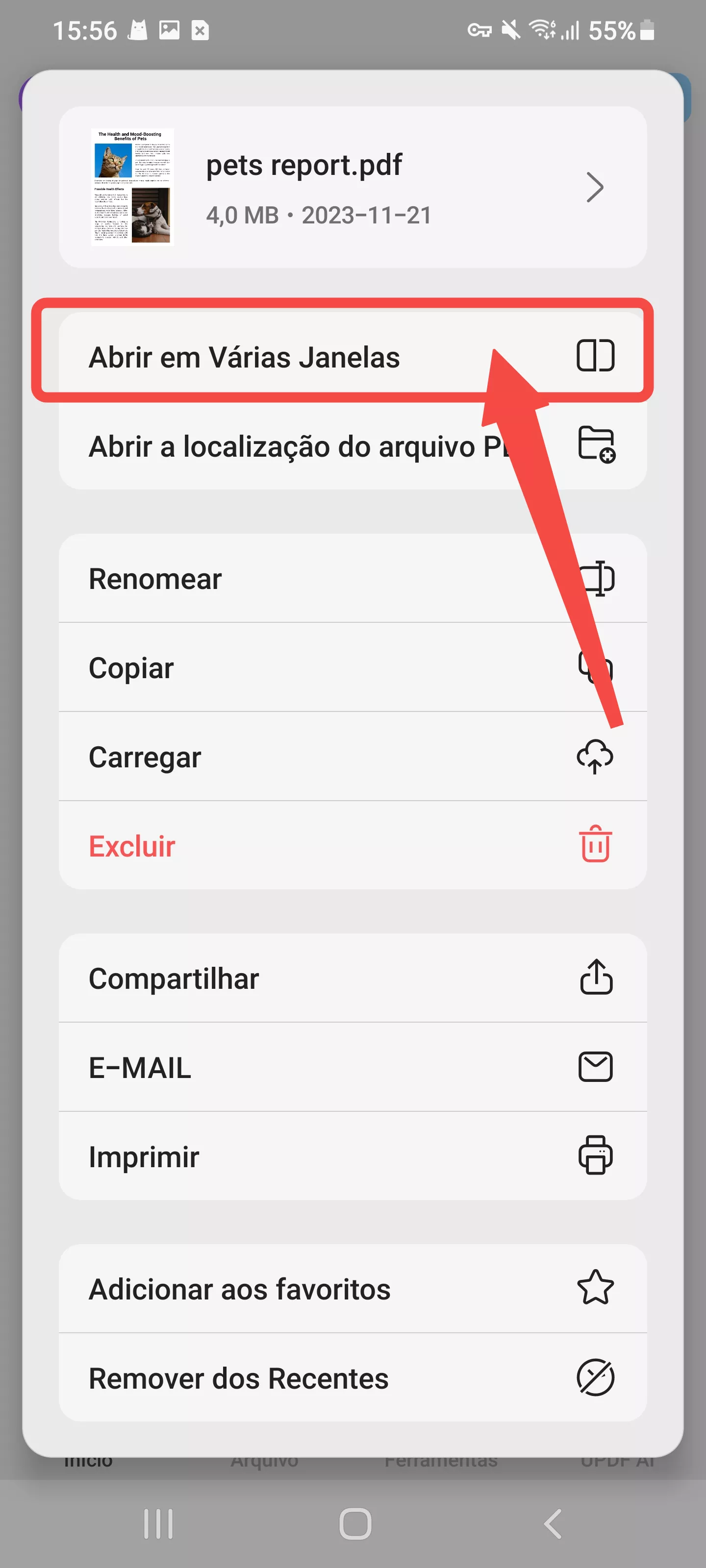abrir em nova janela