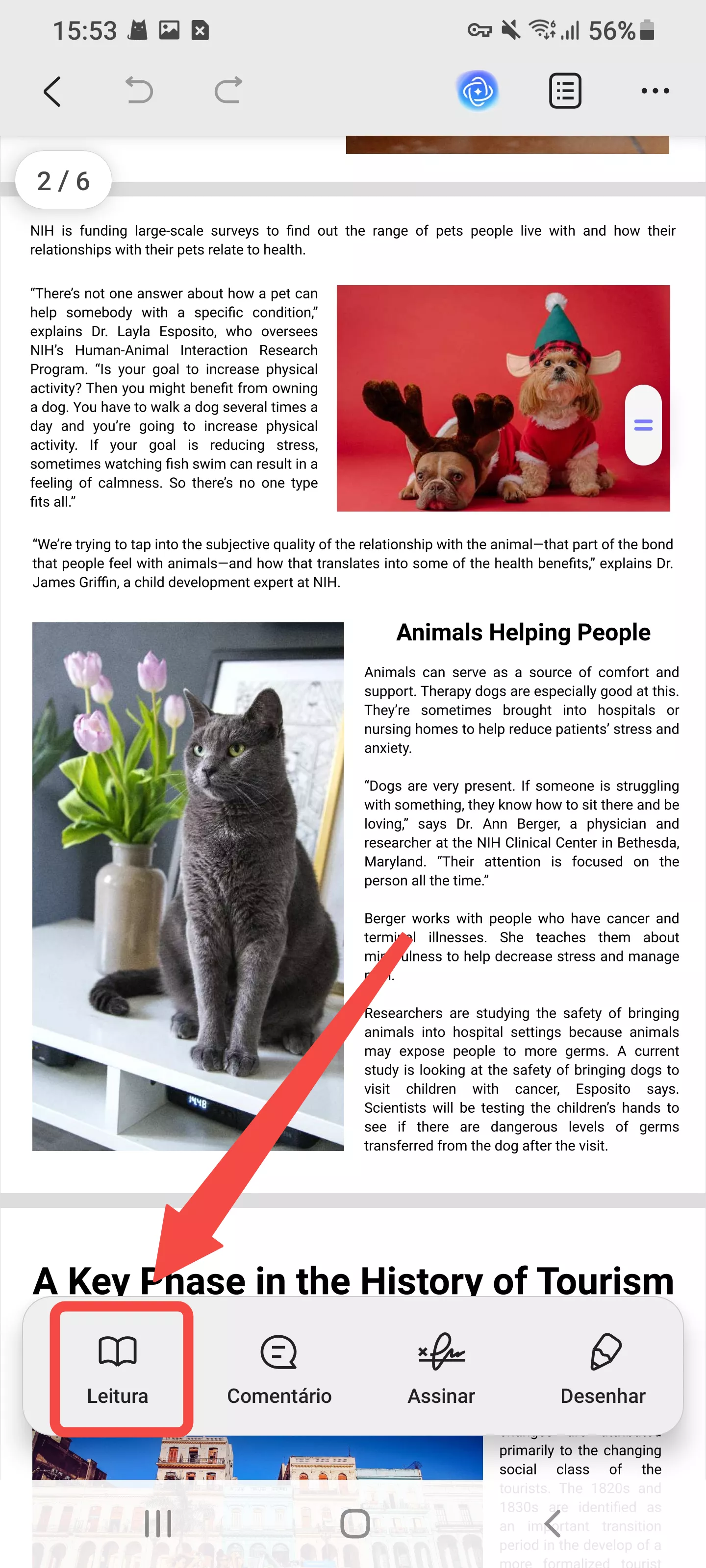 clique em leitura na barra de ferramentas inferior