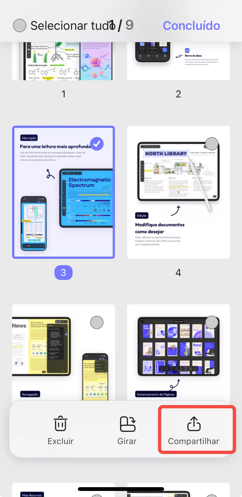 compartilhar páginas