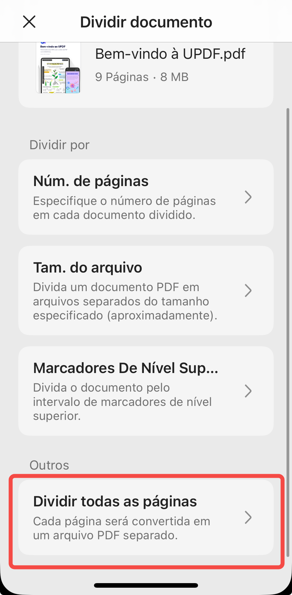 dividir todas as páginas