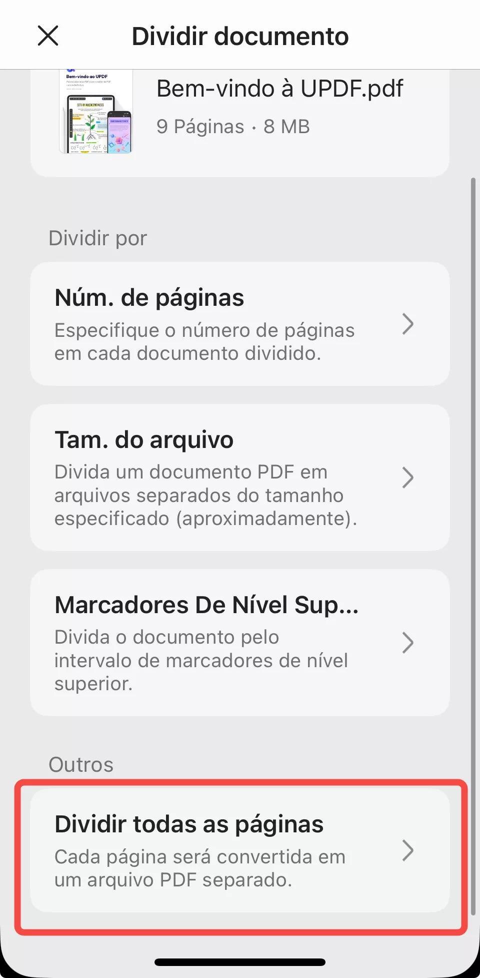 dividir todas as páginas