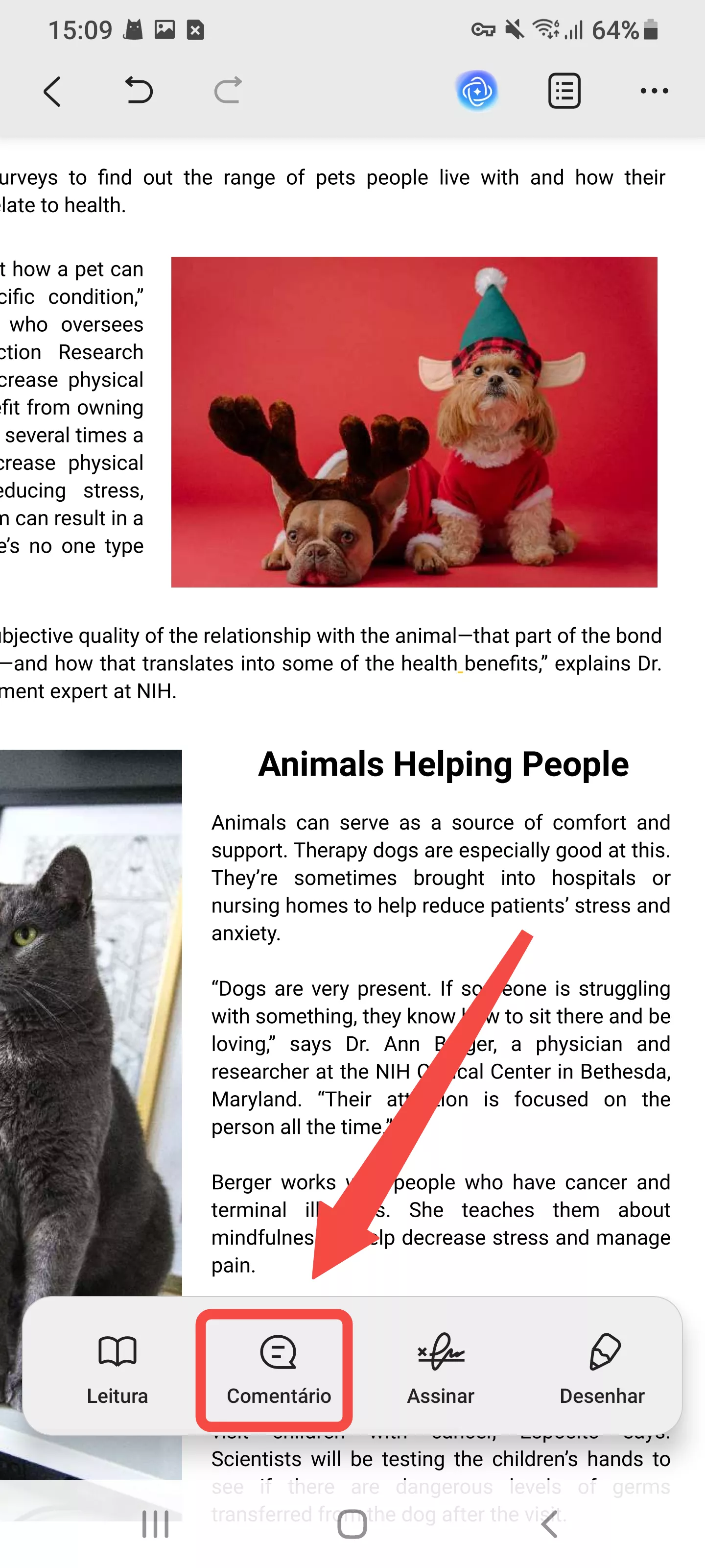 editar comentário de texto