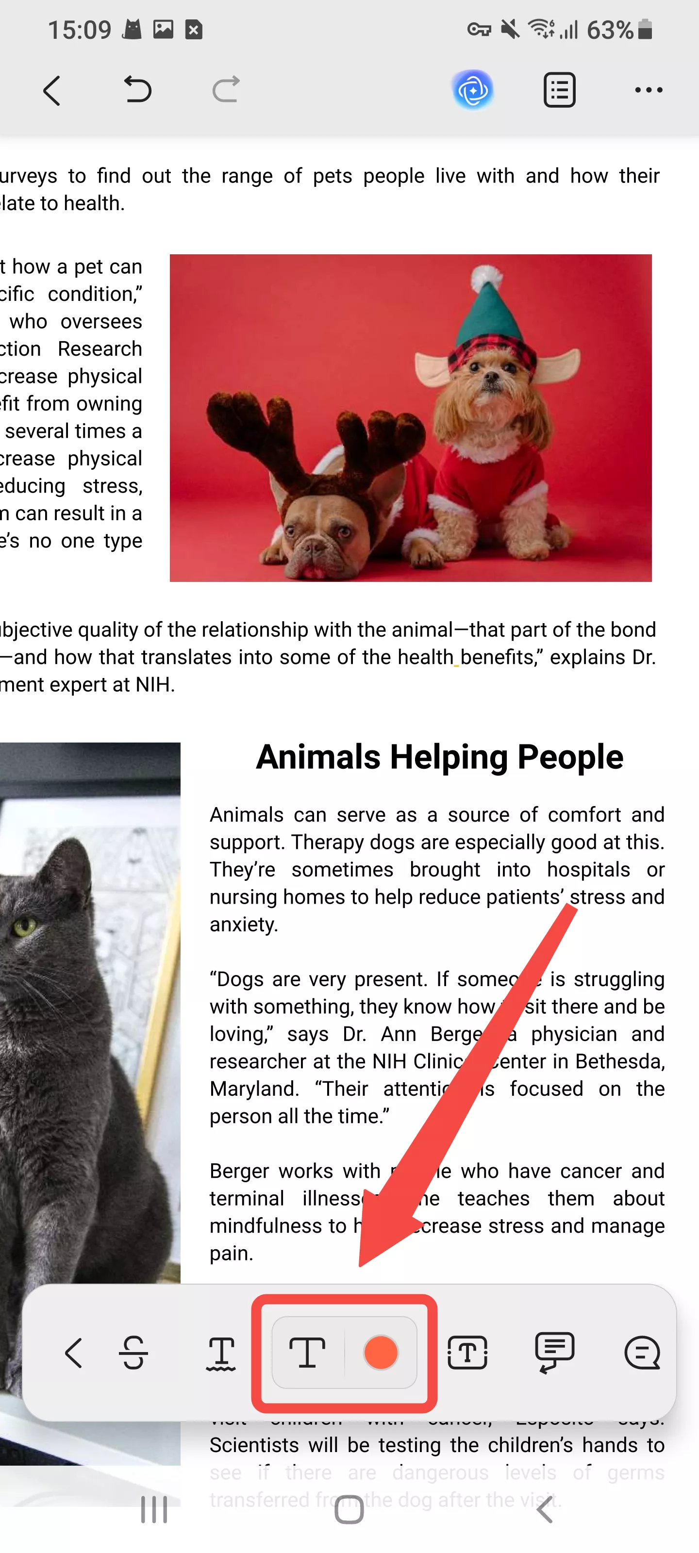 editar comentário de texto