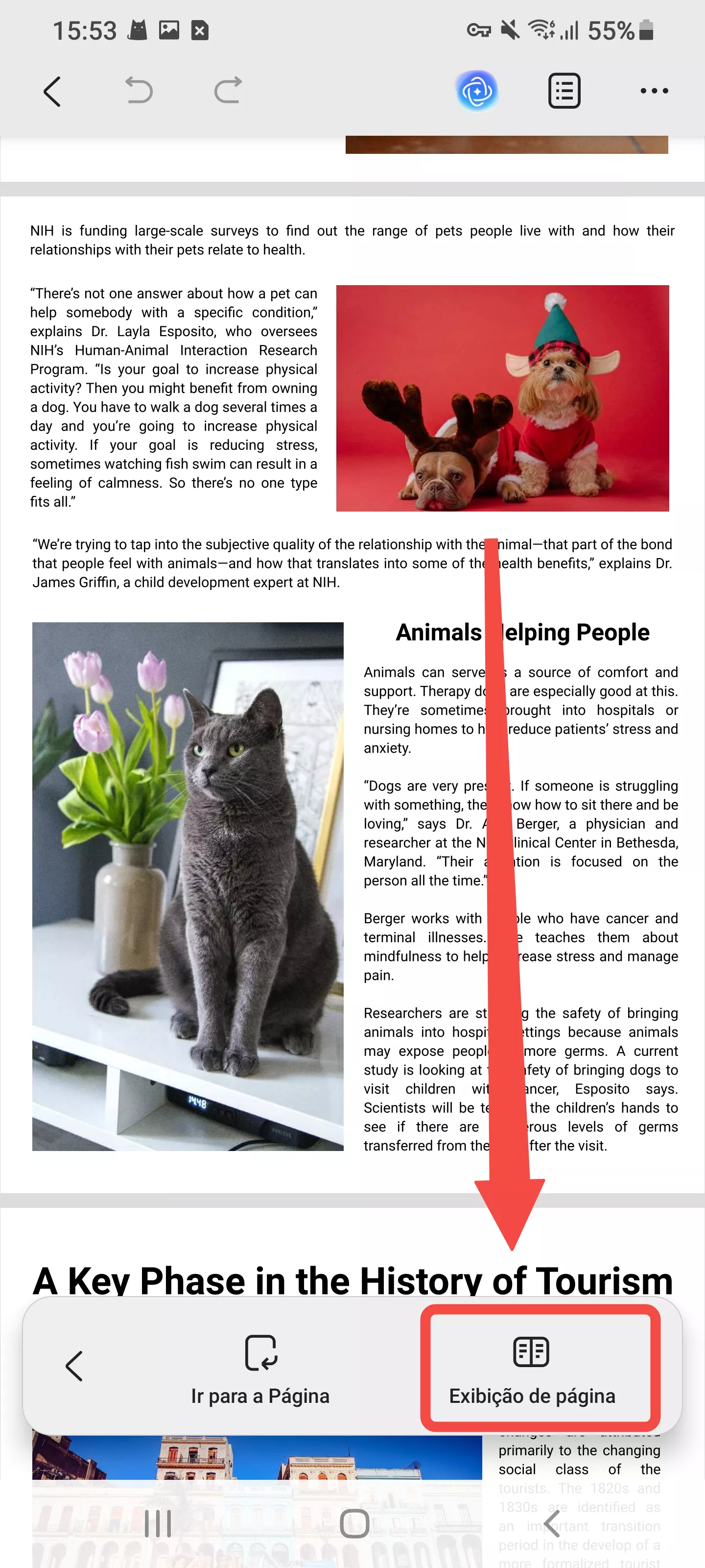 visualização da página