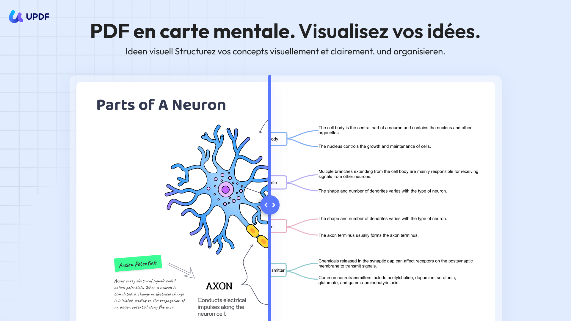 convertir pdf en carte mentale
