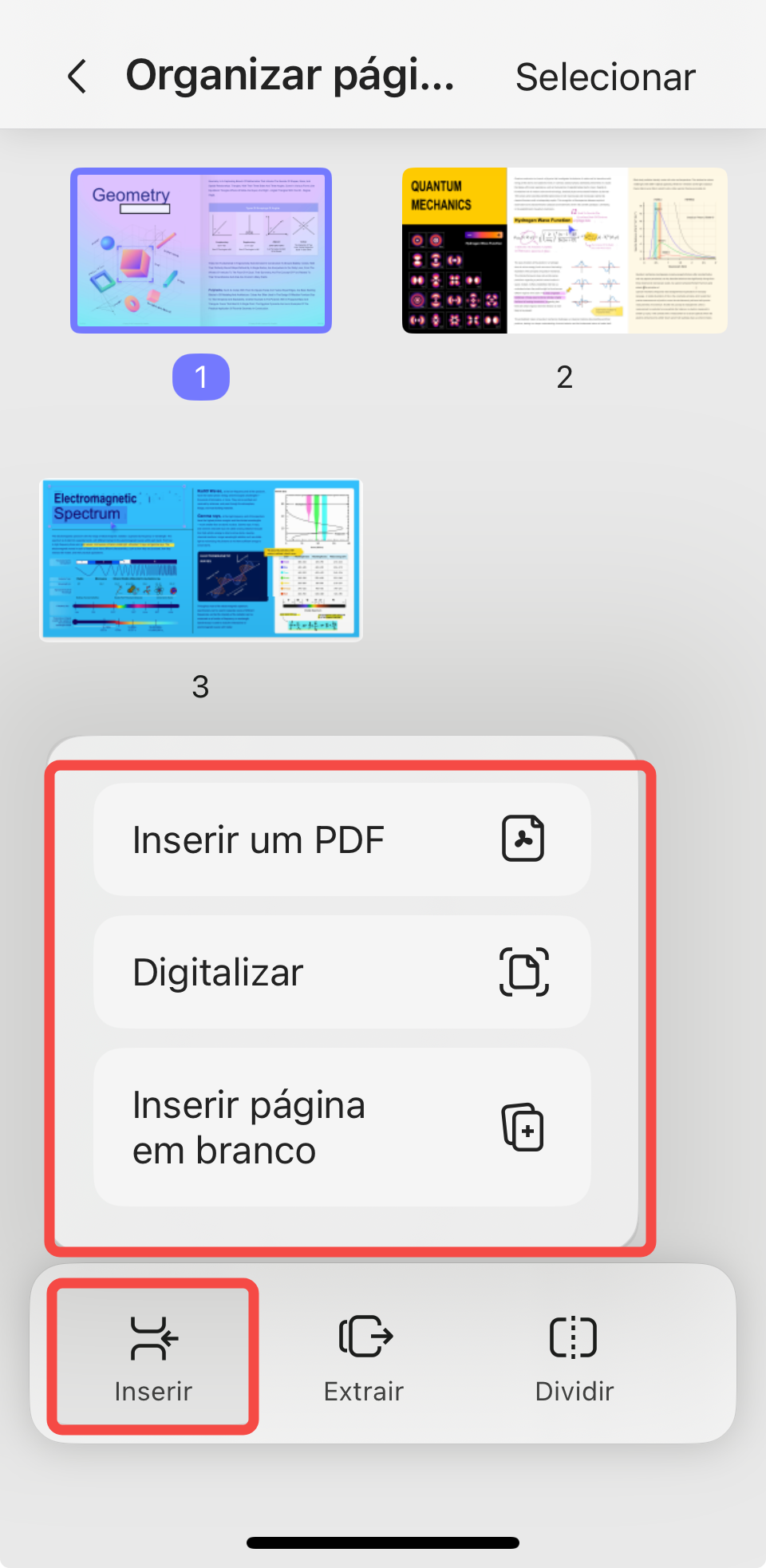 inserir páginas