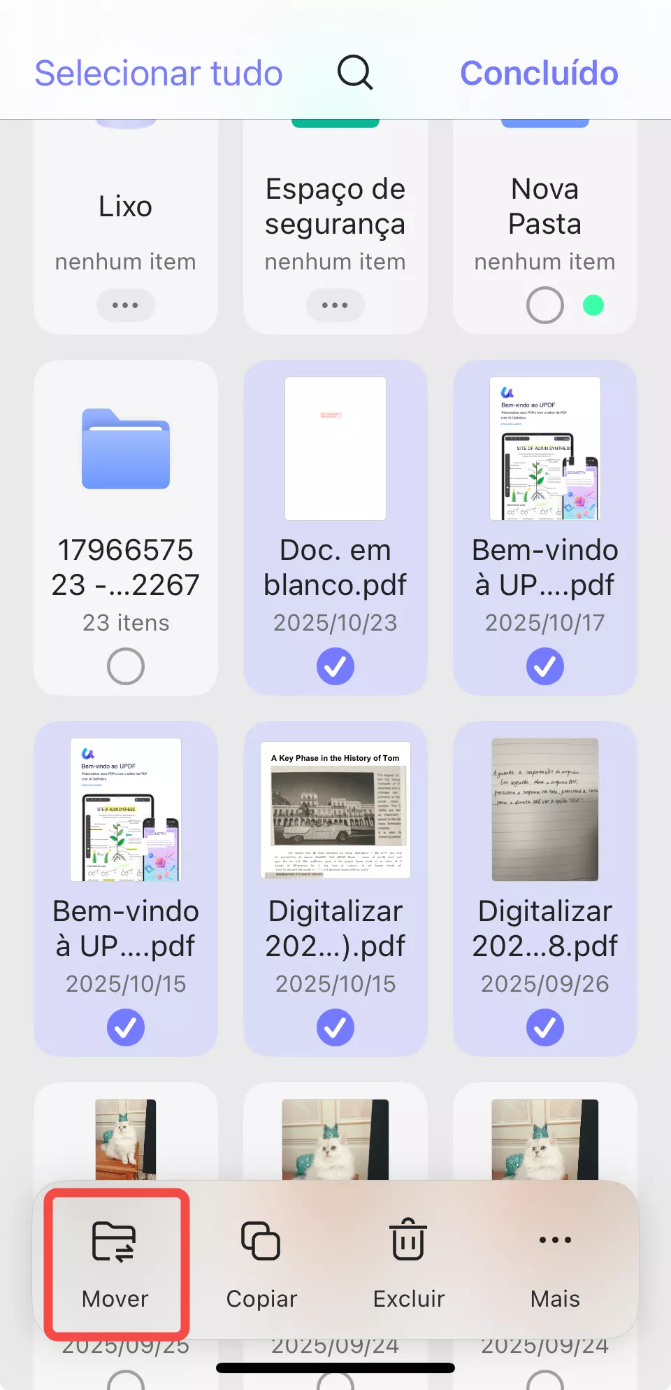 mover seus arquivos existentes para sua pasta