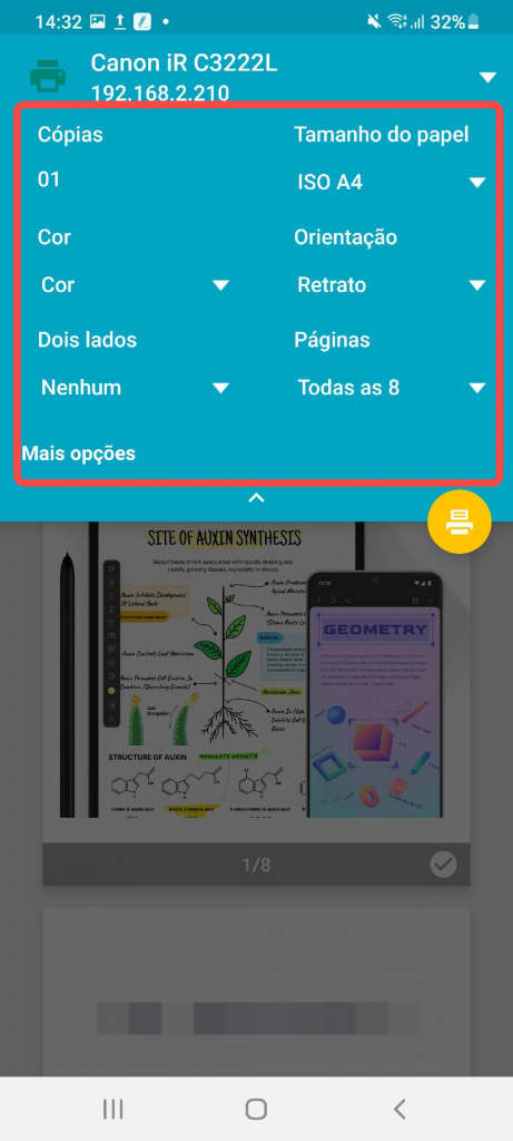pré-visualização antes de imprimir o pdf