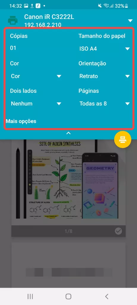 pré-visualização antes de imprimir o pdf