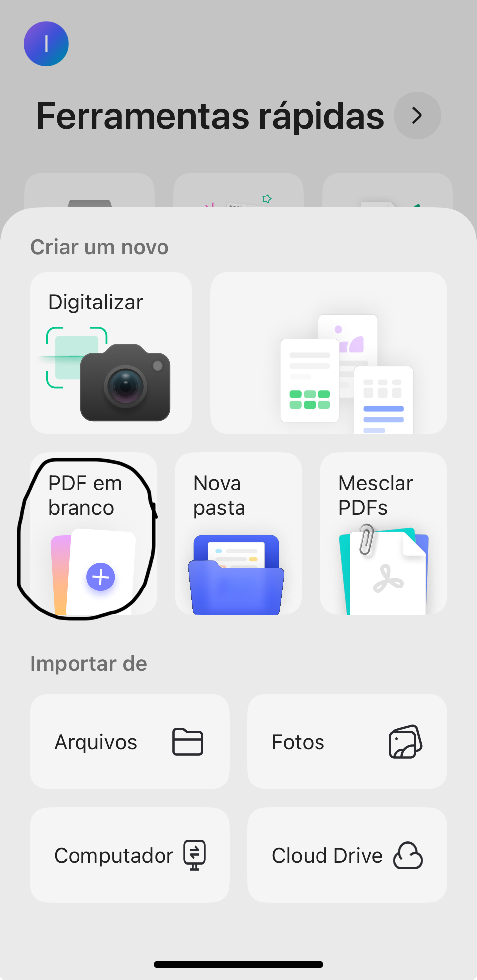 pdf em branco