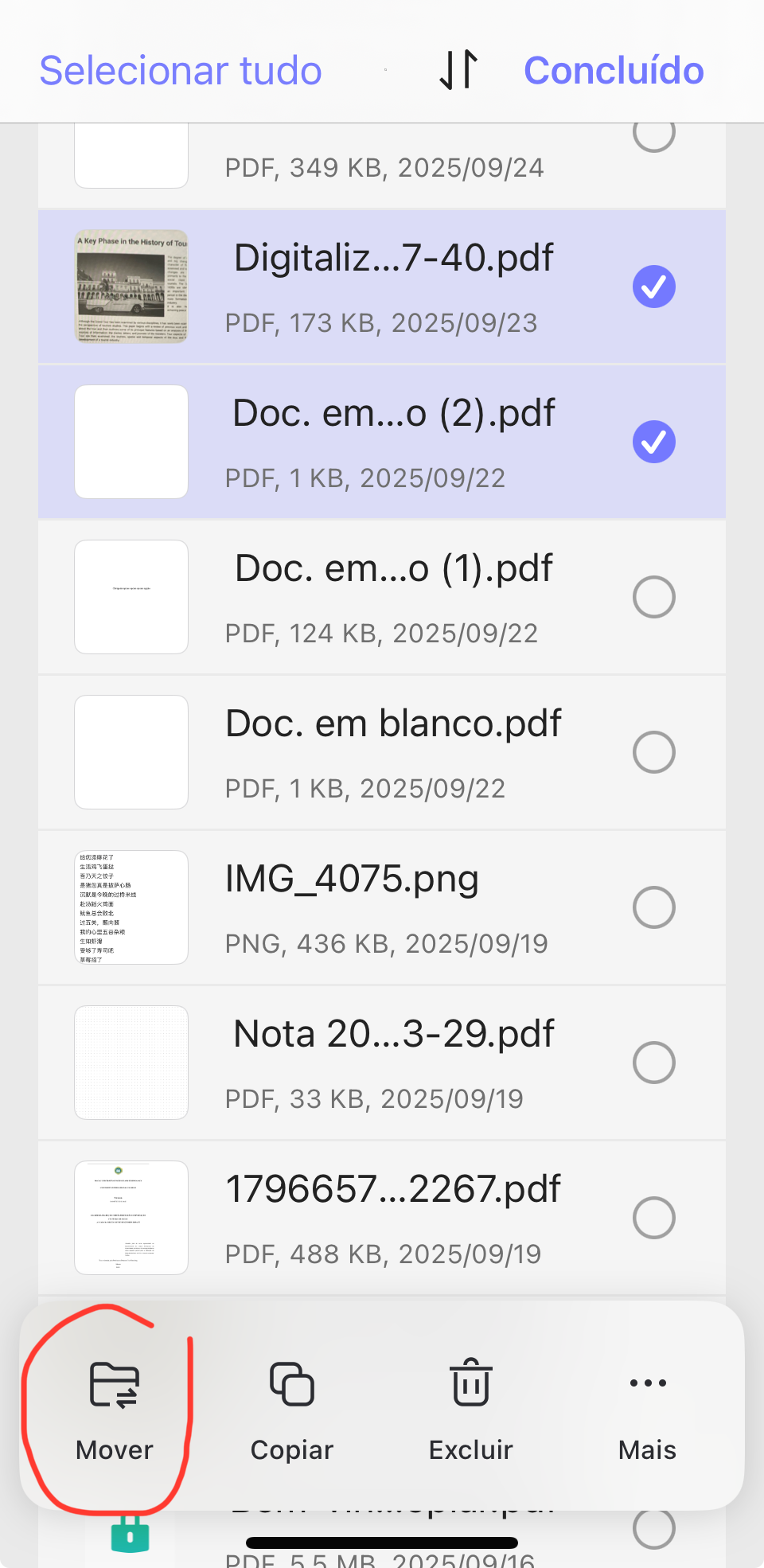 converter para pdf