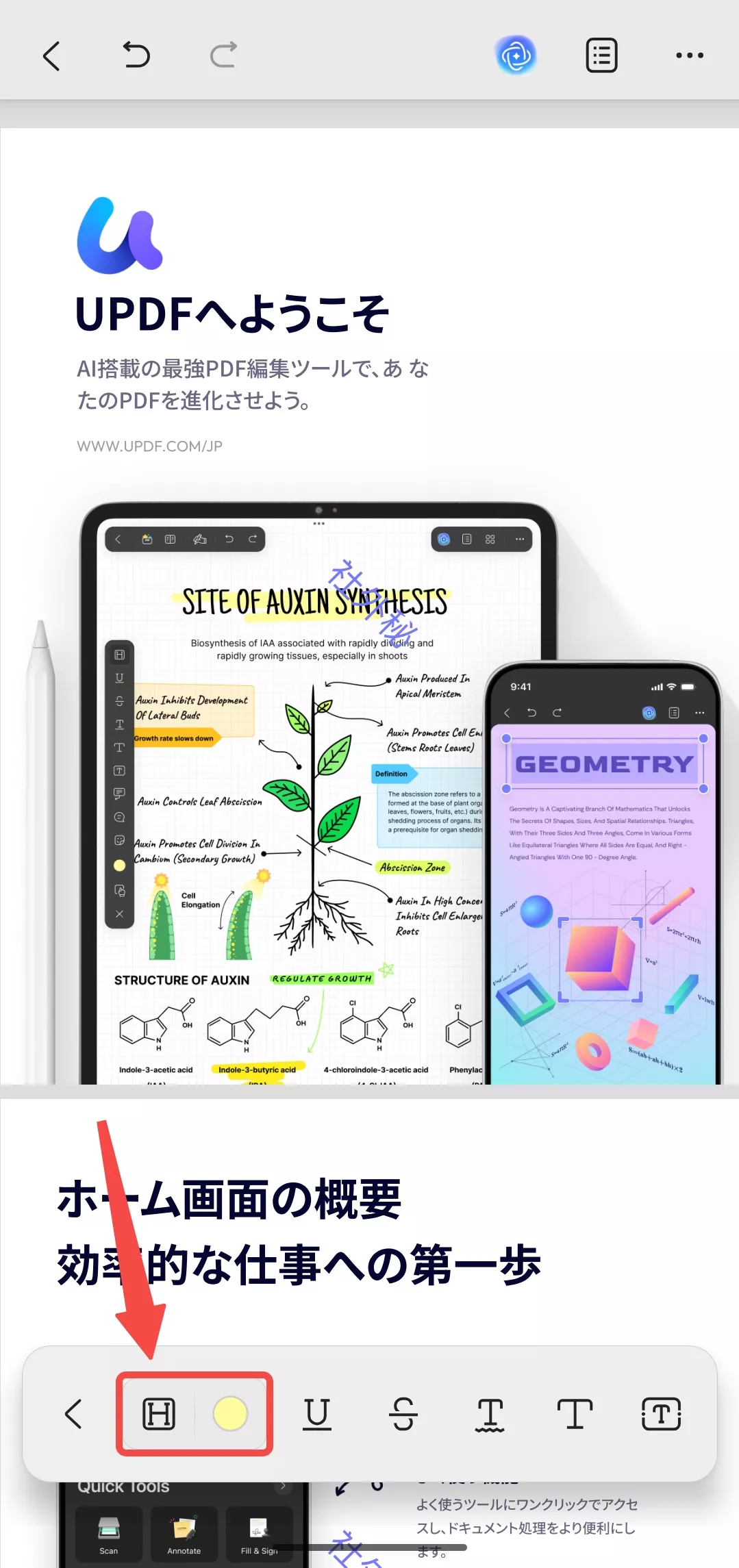 ハイライトオプションを選択する