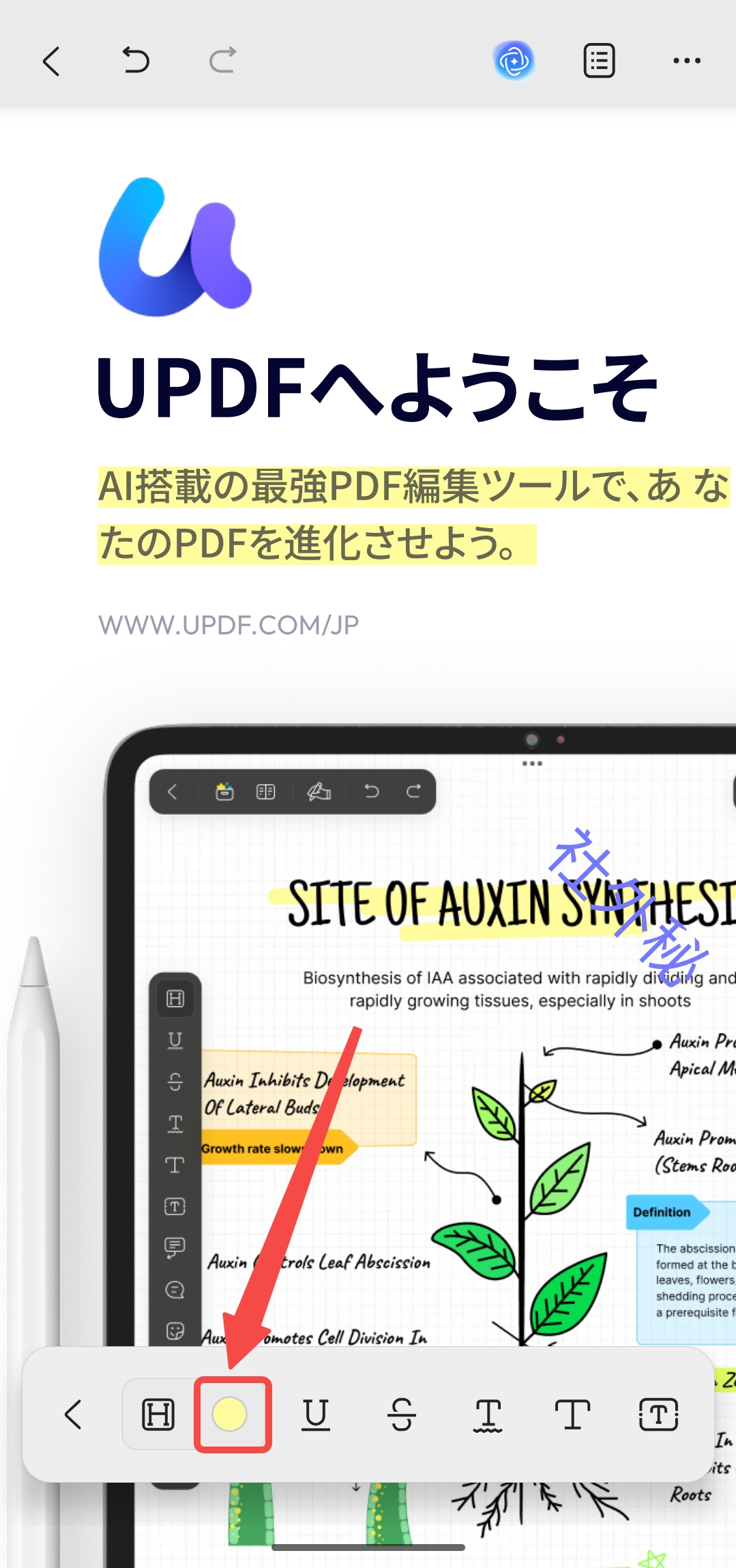 色をタブする