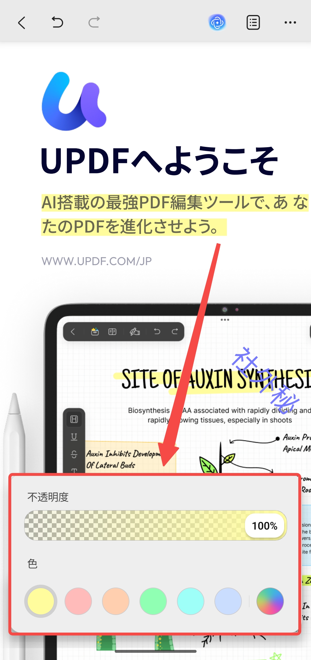 ハイライトカラーを調整する