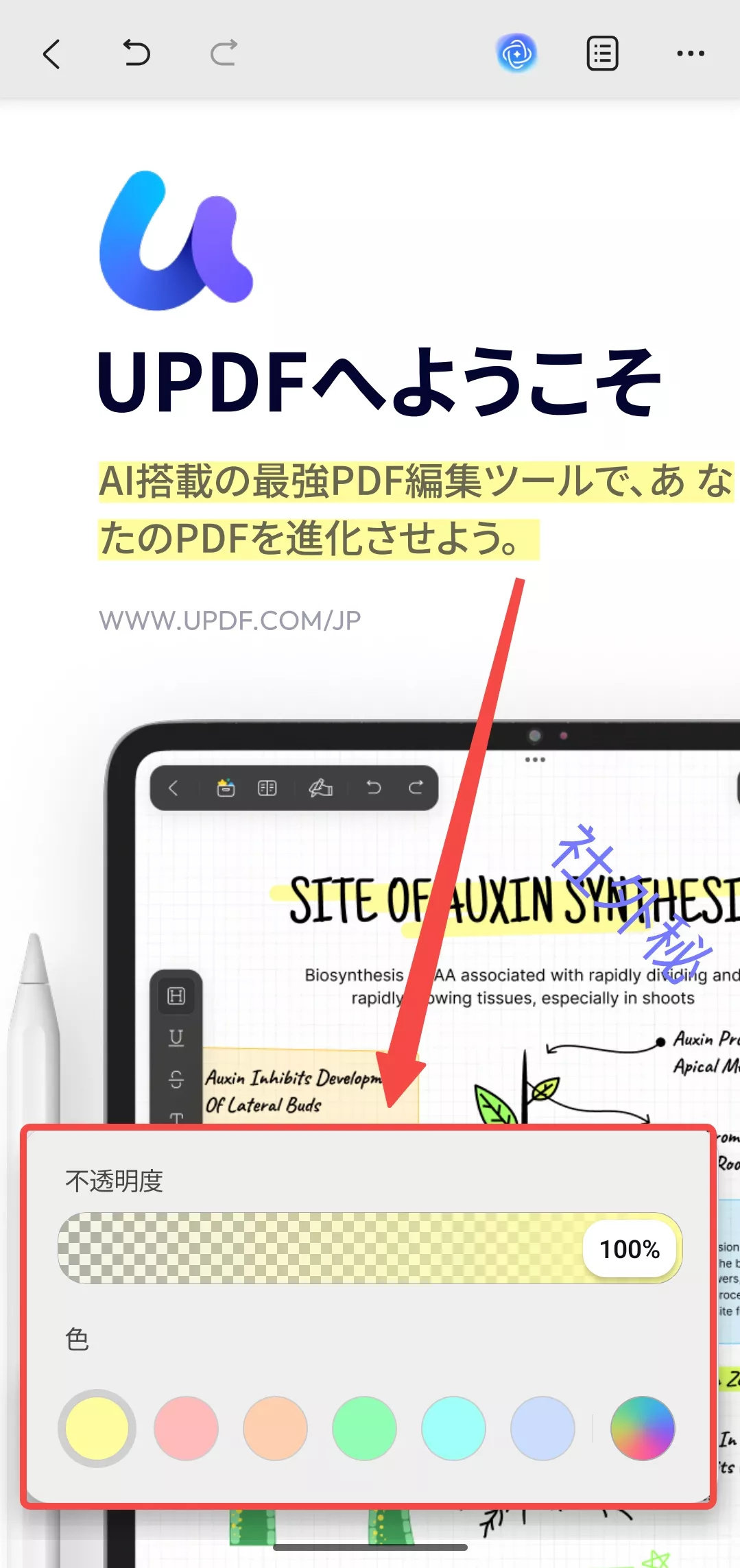 ハイライトカラーを調整する