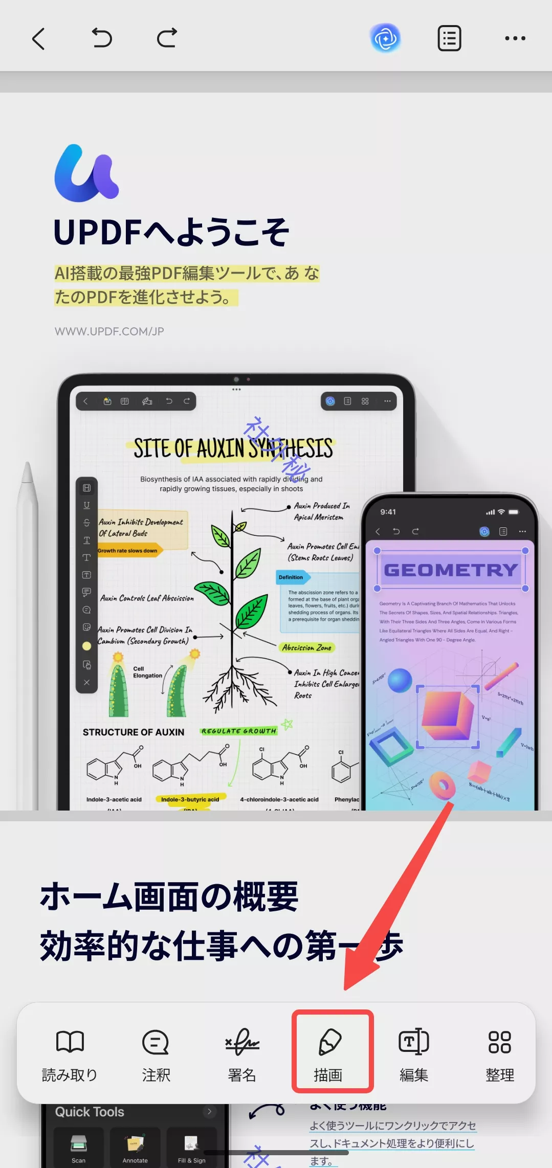 鉛筆か蛍光ペンを選ぶ