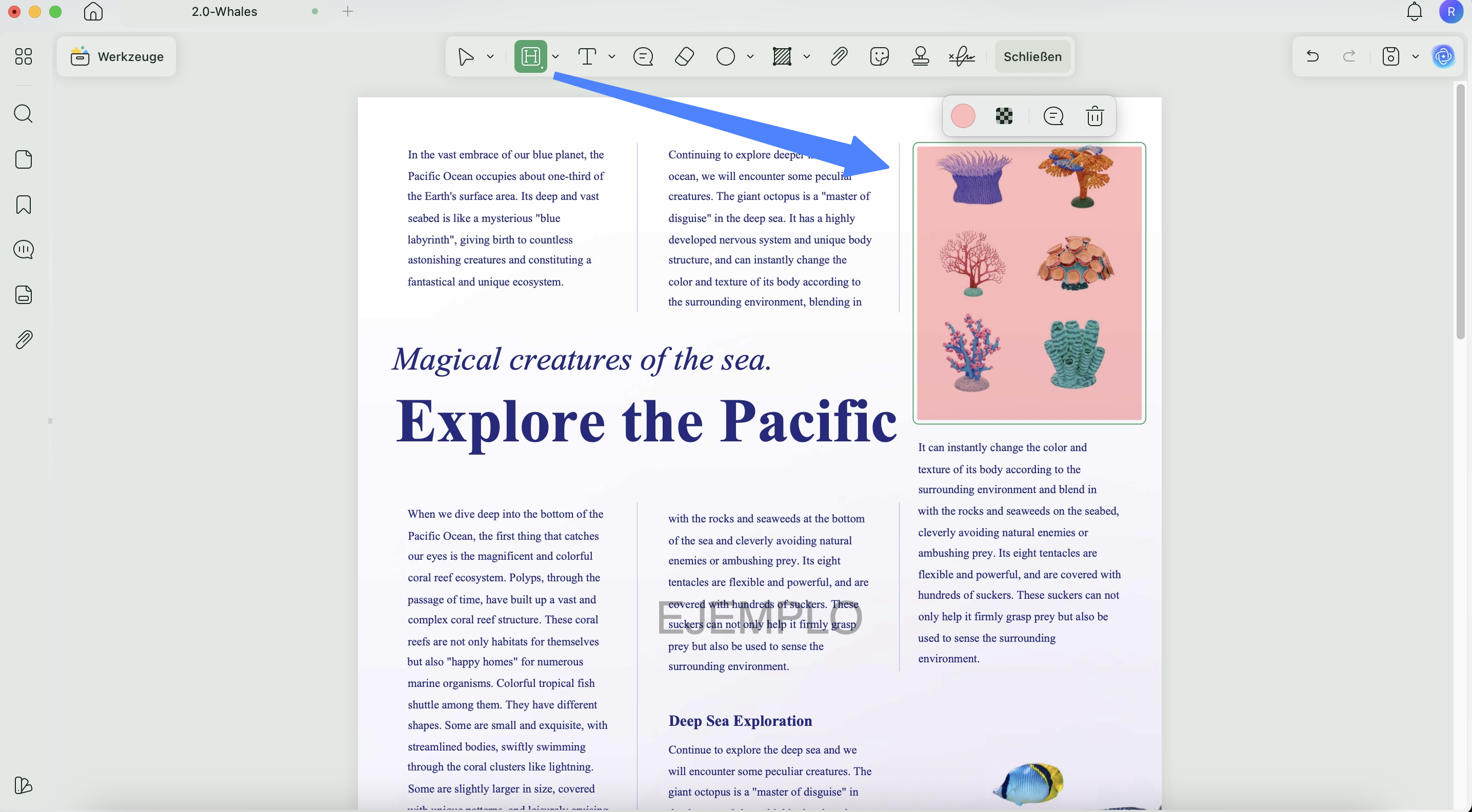 Bereich in PDF durch Gedrückthalten der Umschalttaste markieren