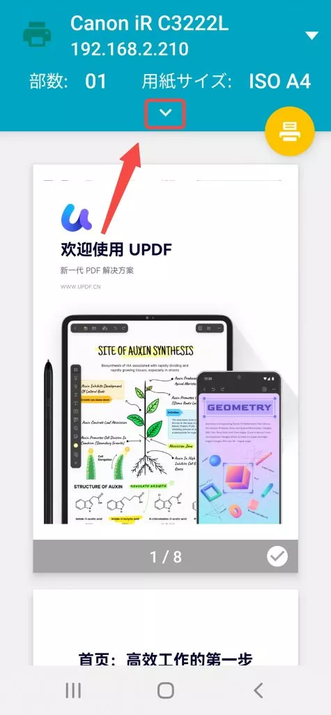 PDFを印刷する前にプレビューする