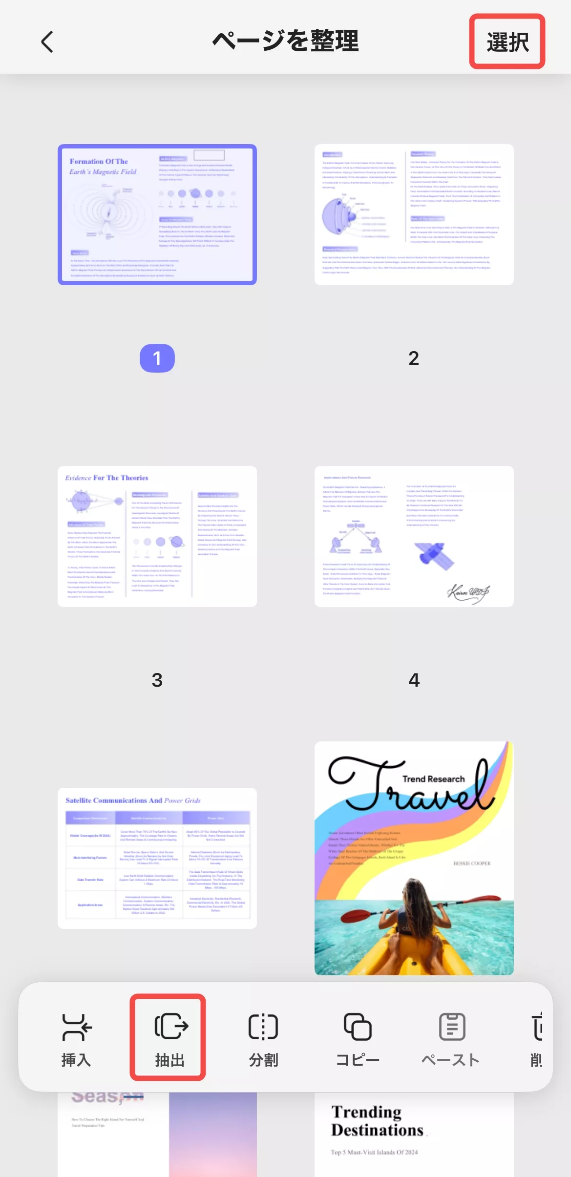 ページを選択し、抽出ボタンをタブする