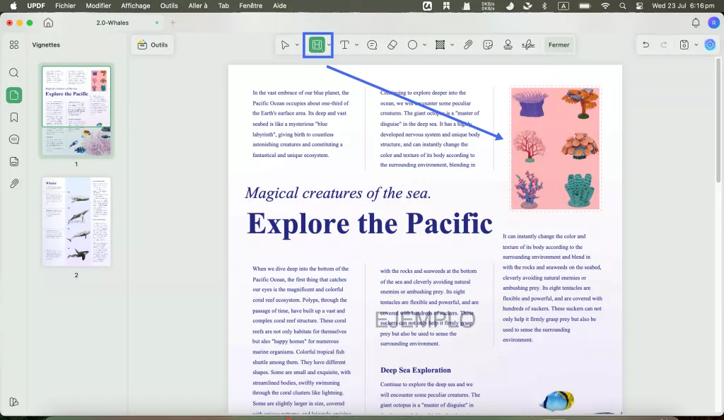 Mettre en surbrillance une zone dans un PDF avec UPDF sur Mac