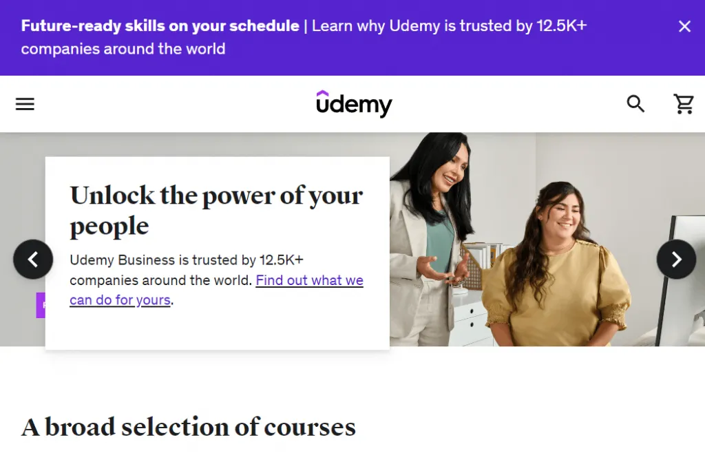 free educational websites for adults - Udemy