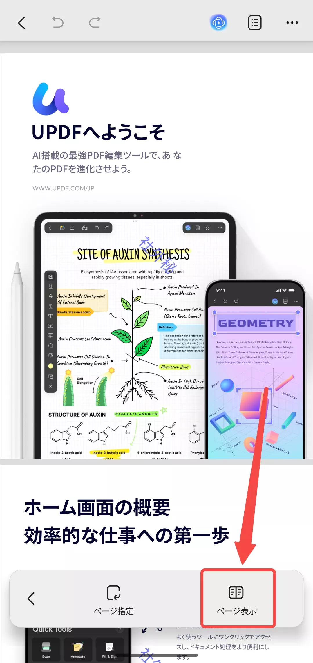 「ページ表示」を選択する