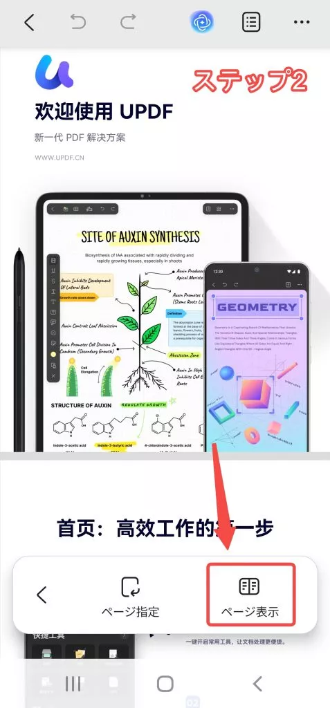 「ページ表示」をタブする