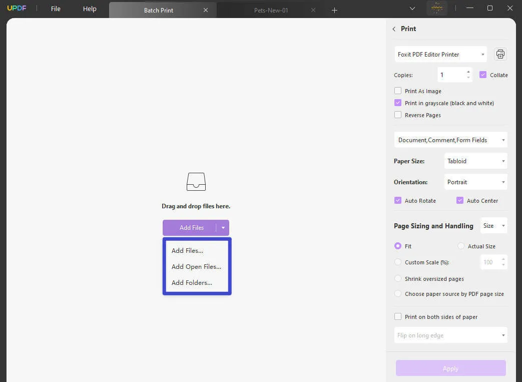 add files to batch print