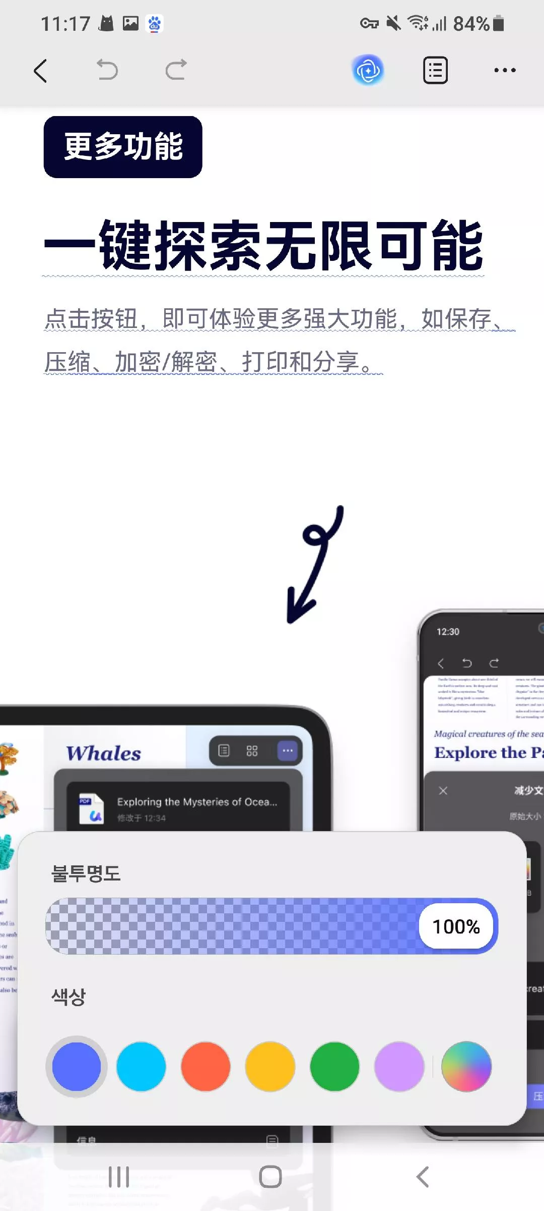 스쿼럴리 라인 색상 뱐경