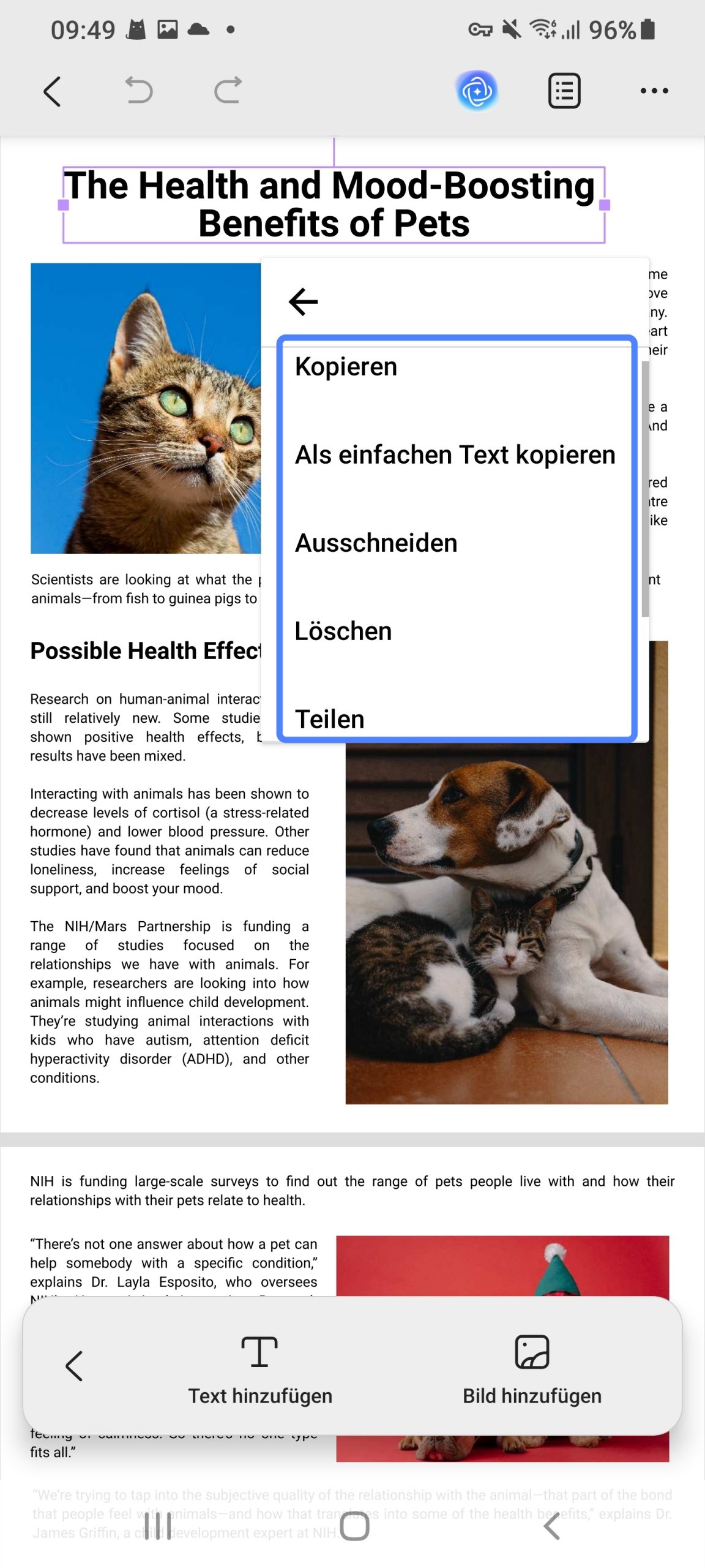 Text in PDF bearbeiten