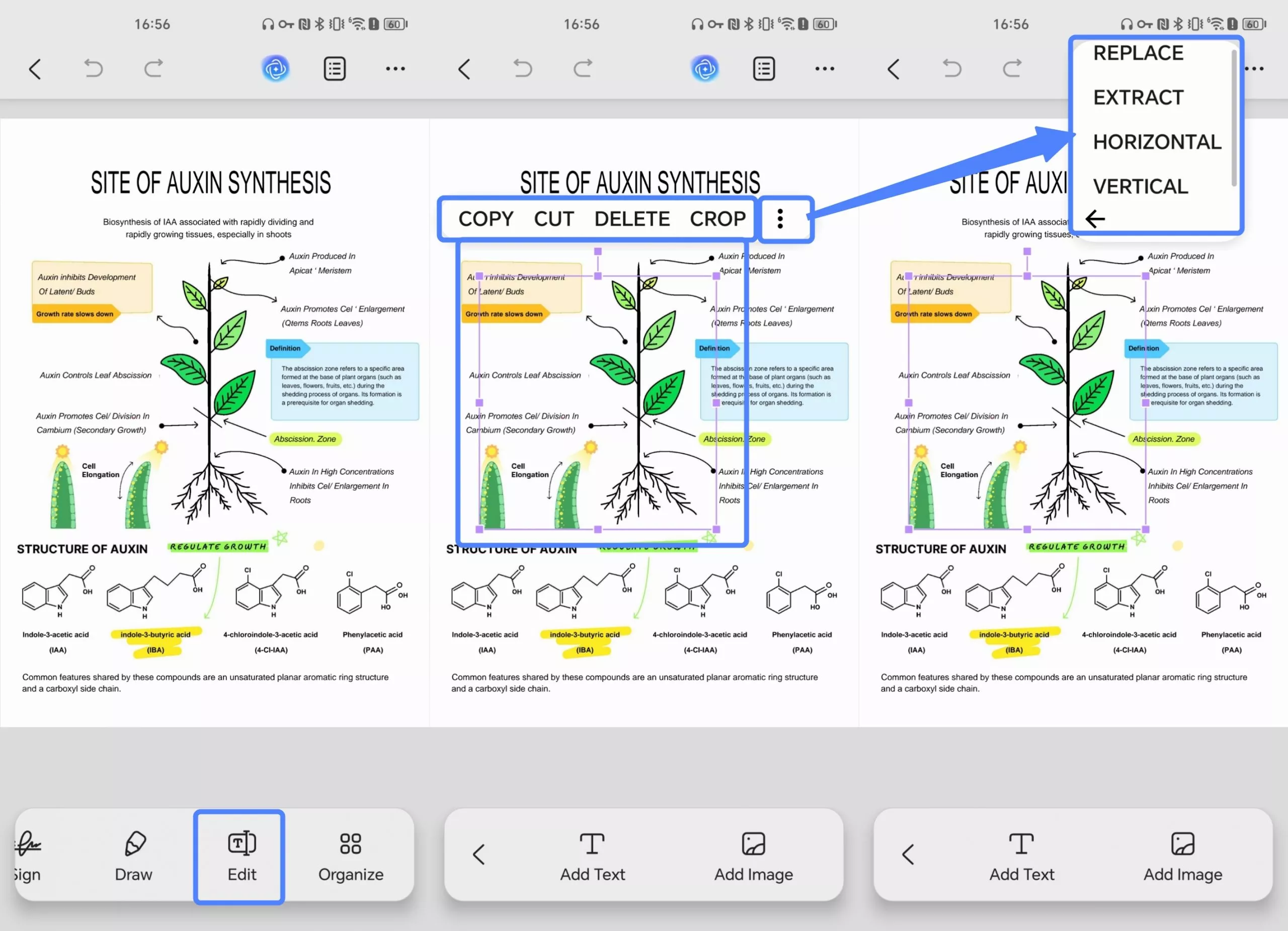edit the existing image