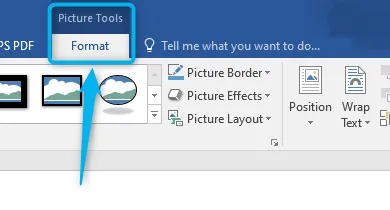 format tab in word