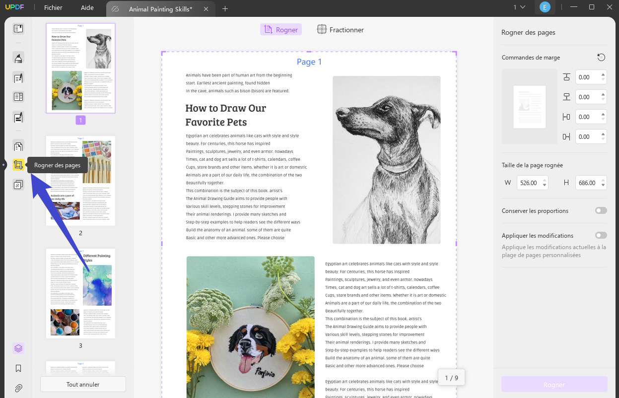 recadrer page
