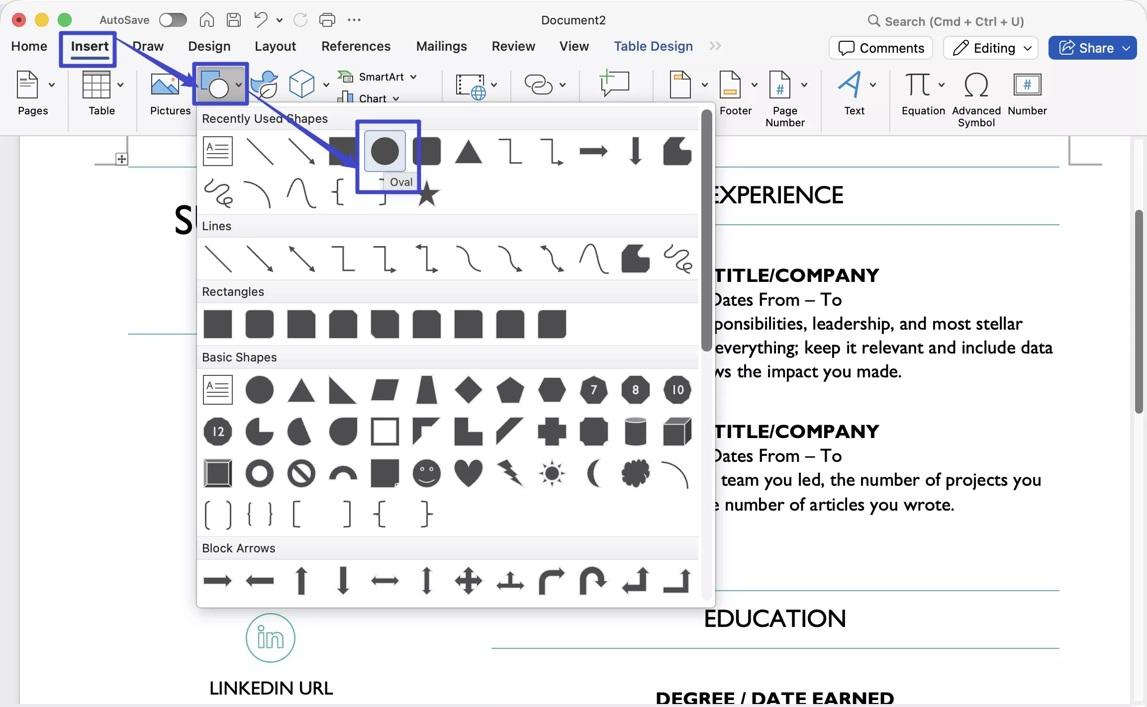 insert oval in word