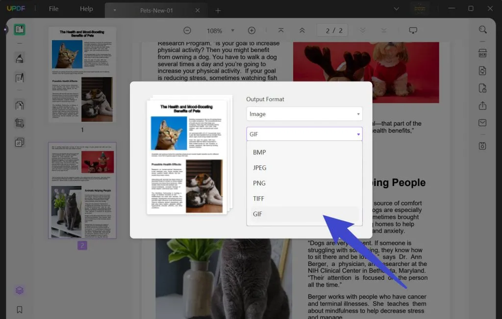 Easy Guide to Convert PDF to GIF Online and Offline