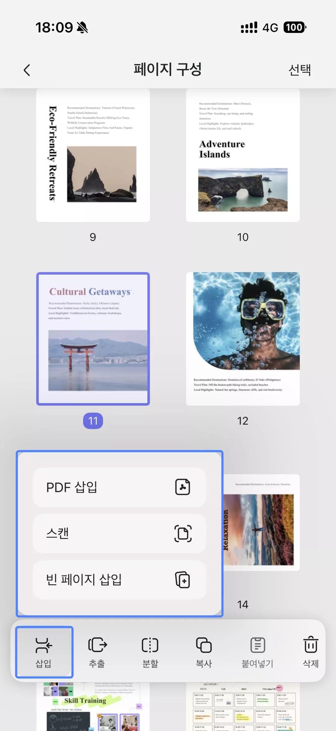 페이지 삽입 기능
