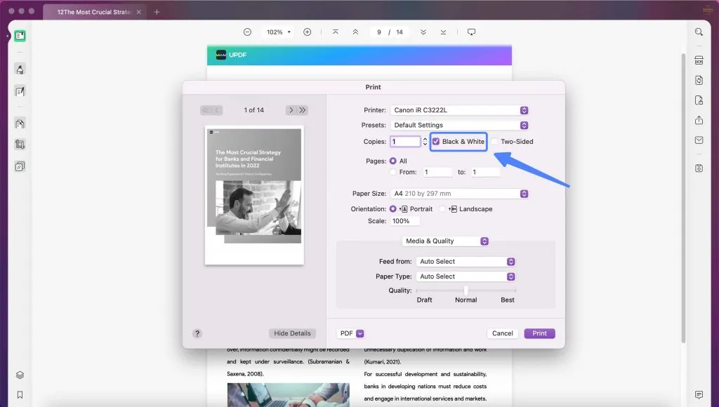 Print a PDF in Black and White on Mac