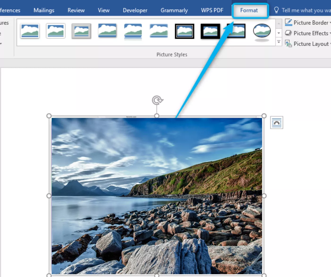 format button in Word