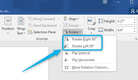 How to Flip a Picture in Word with 5 Newest Methods