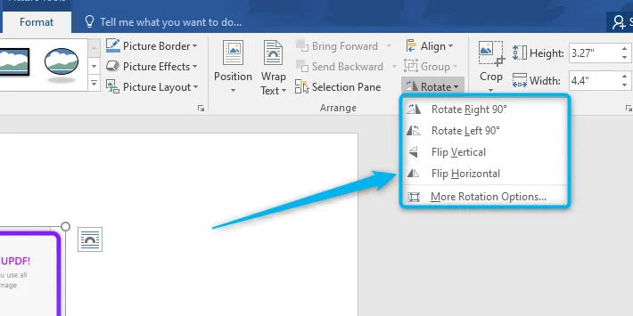 rotation options in Word
