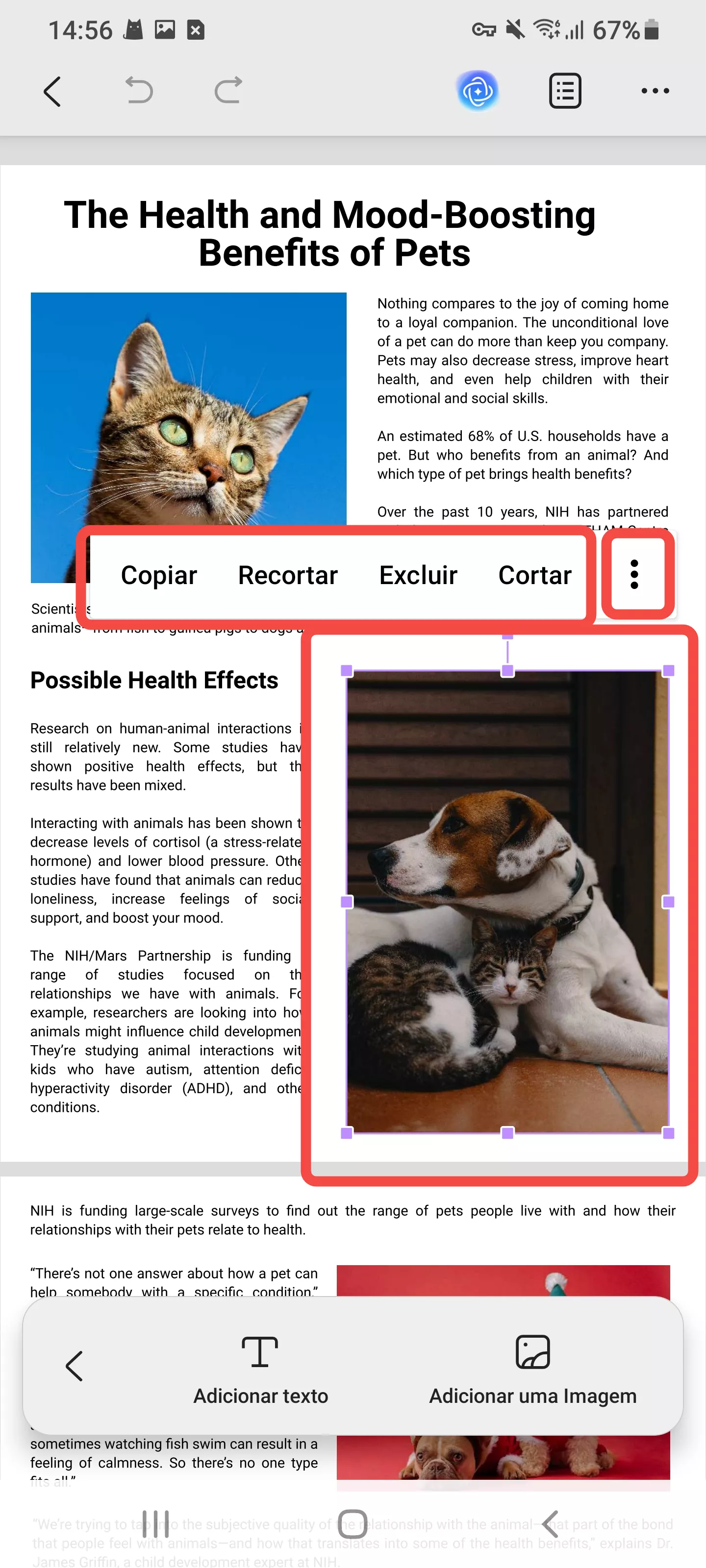 editar a imagem existente