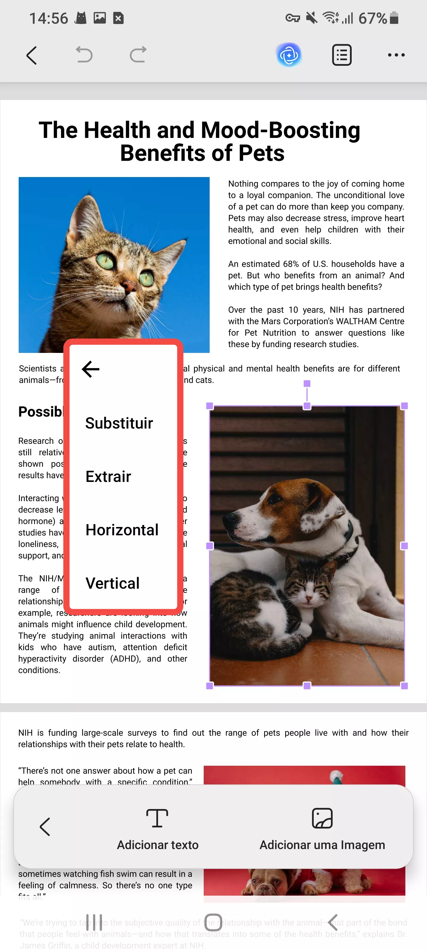 editar a imagem existente