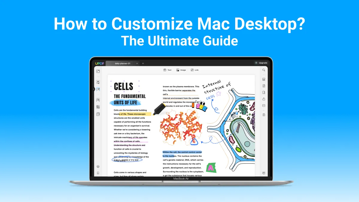 How to Customize Mac Desktop? The Ultimate Guide (macOS Sonoma Compatible)