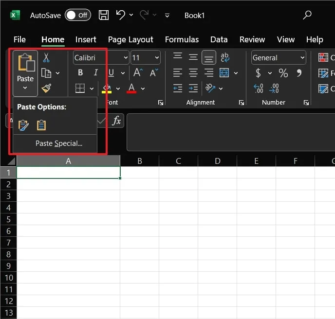 Locate Paste option on the Excel