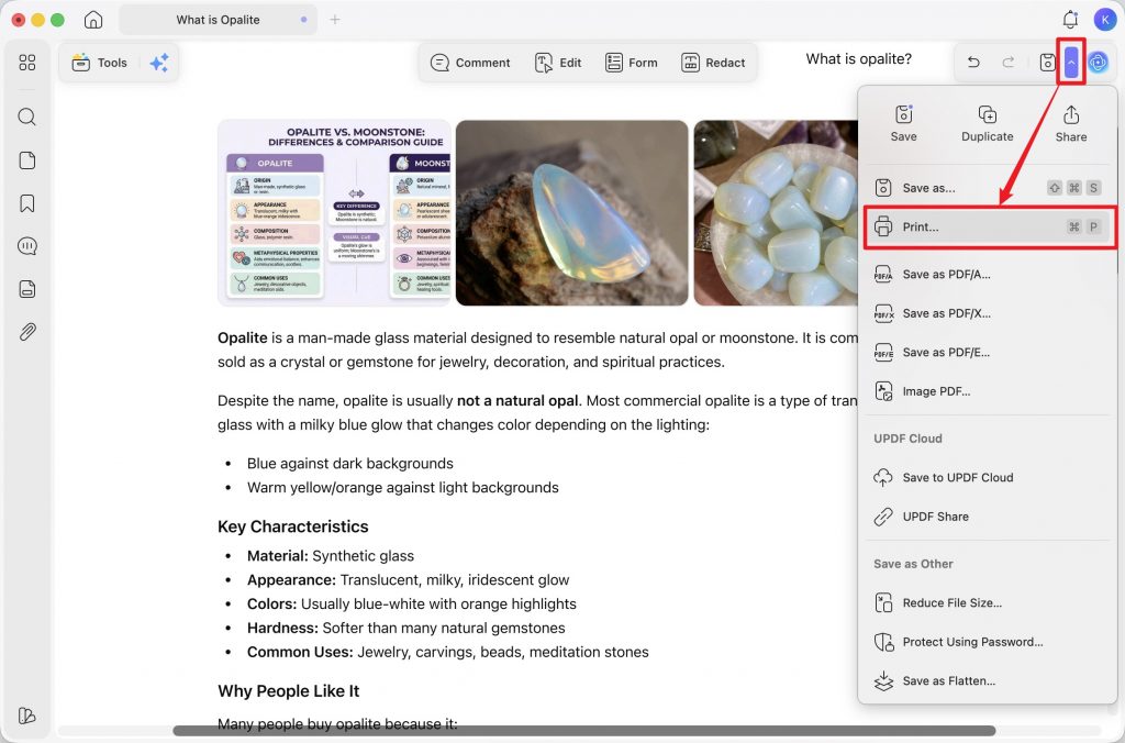 open the print dialog