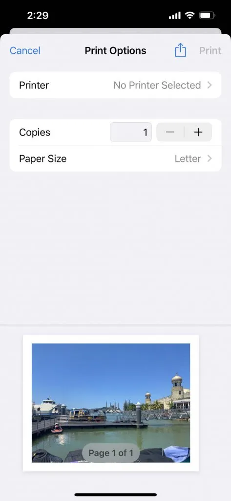 Foto auf dem iPhone in PDF umwandeln mit der Druckeroption 3
