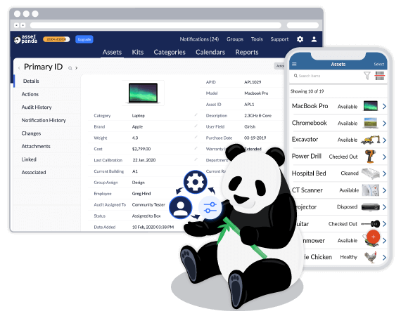 it asset asset panda