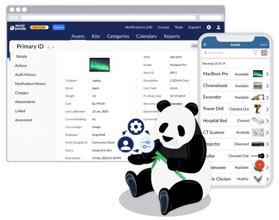 it asset asset panda