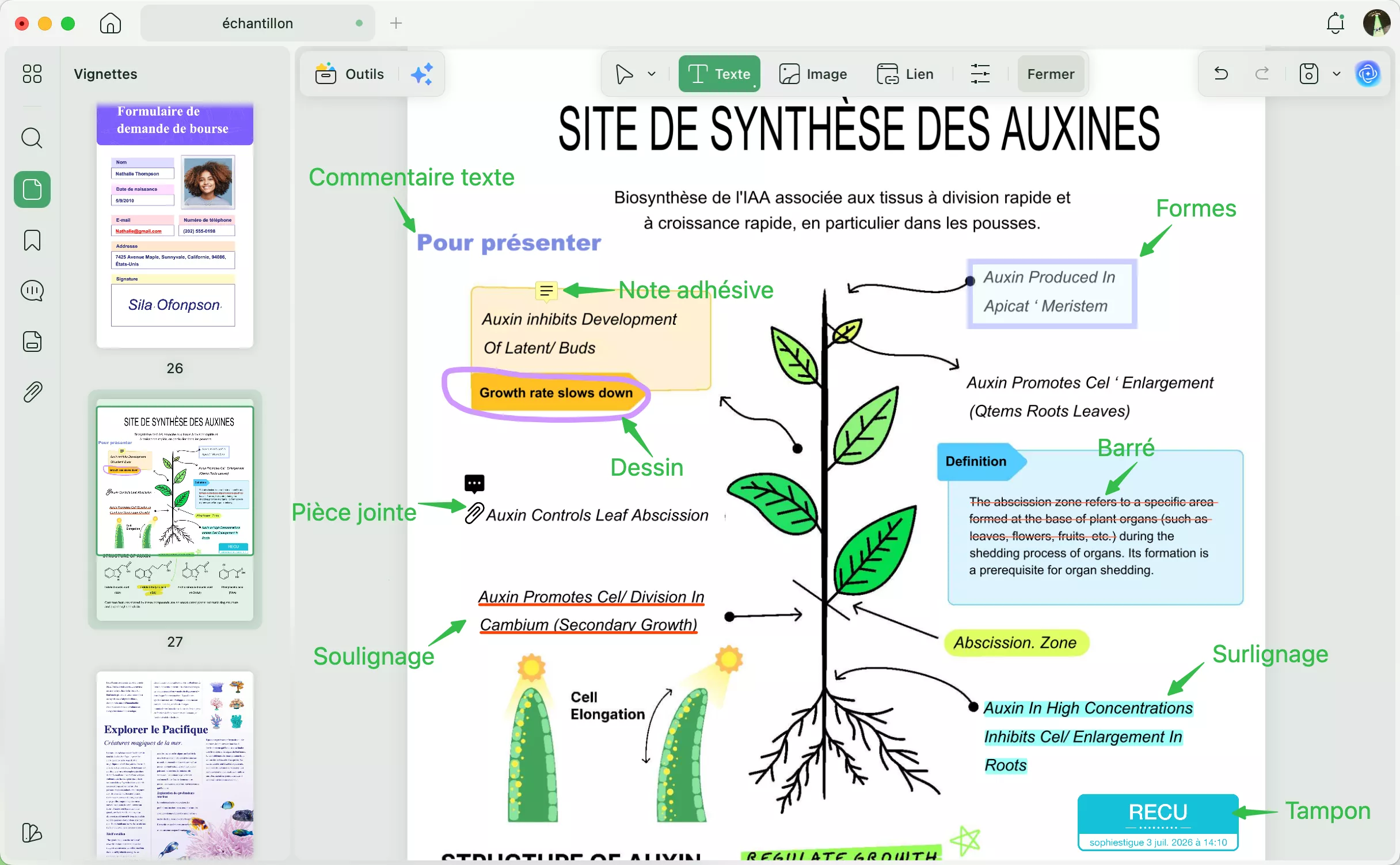 Outils d'annotation PDF pour la version de bureau d'UPDF